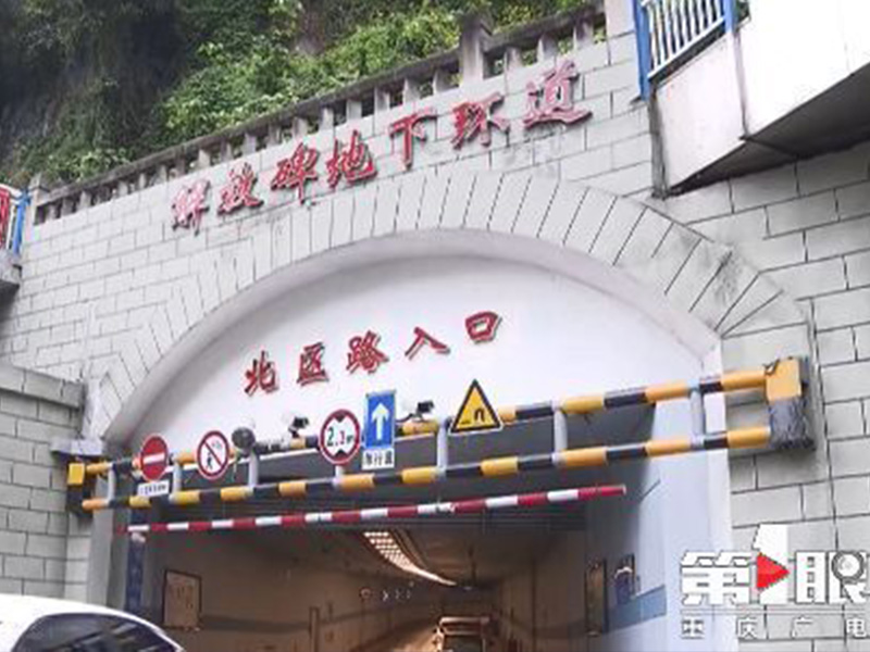 猫先生|猫先生MRCAT|官网首页